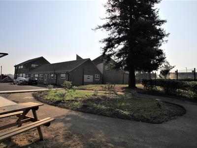 Picture 11